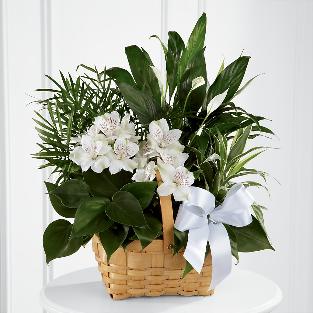 Peace & Serenity Dishgarden – Vidor Florist, Vidor TX