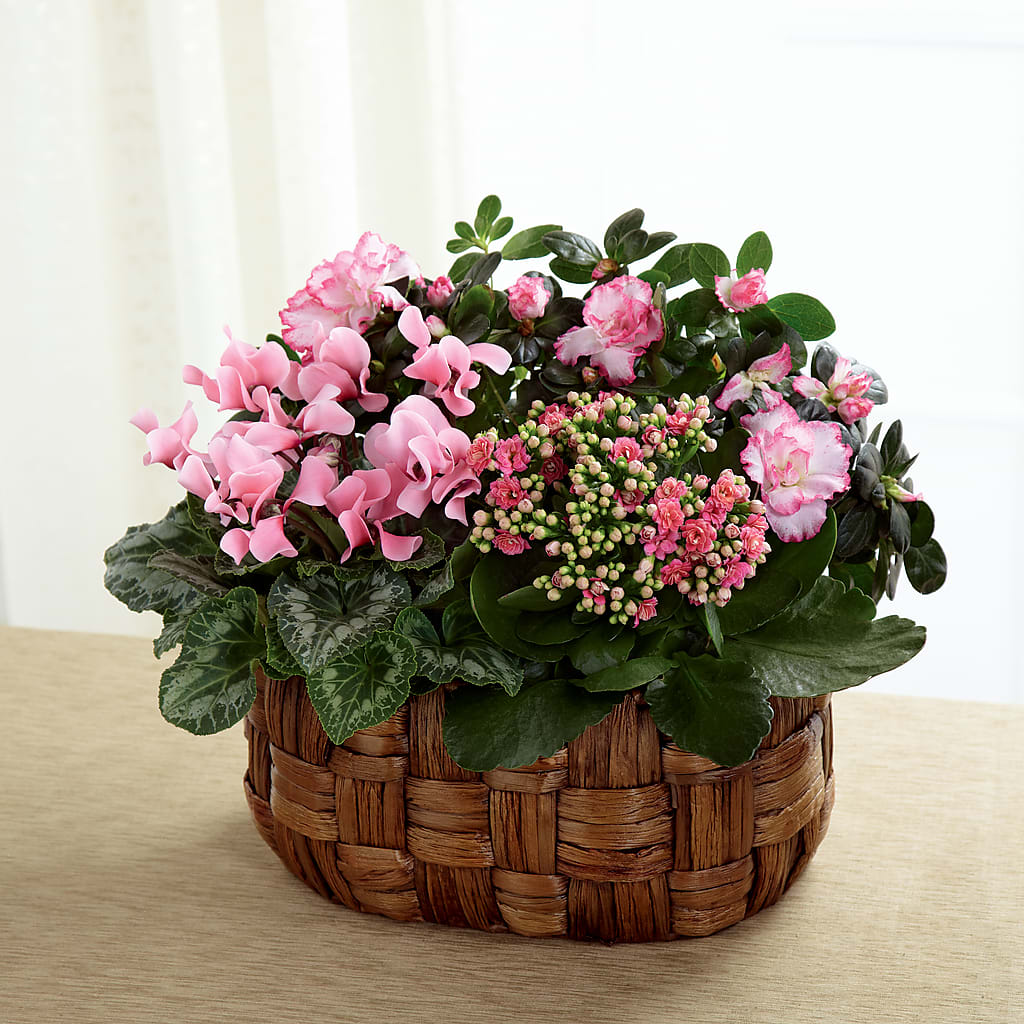 Pink Assortment – Vidor Florist, Vidor TX