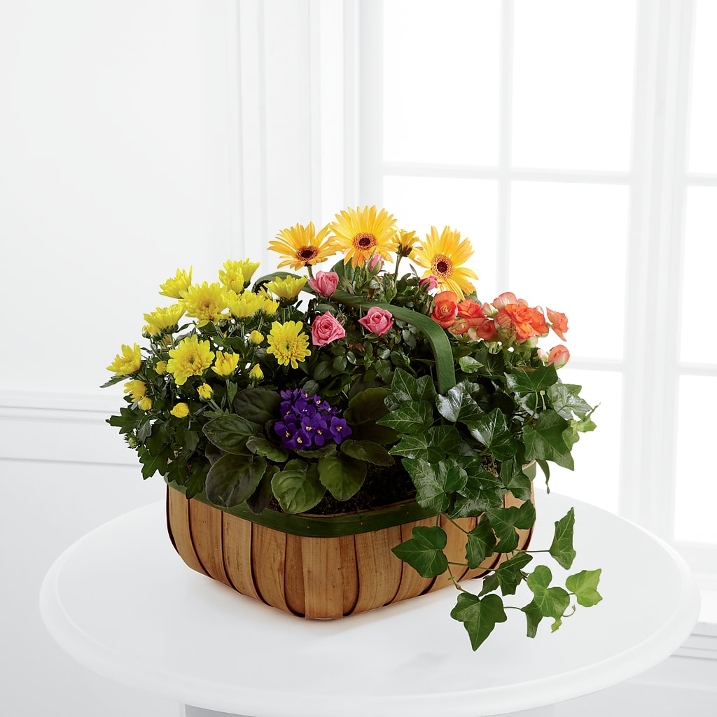 Gentle Blossoms Basket – Vidor Florist, Vidor TX