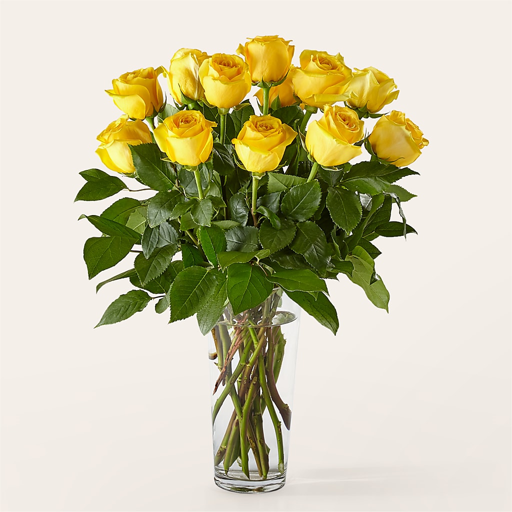 Long Stem Yellow Rose Bouquet – Vidor Florist, Vidor TX
