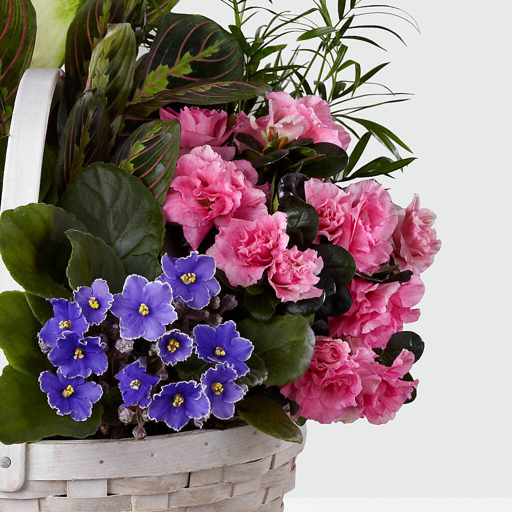 Peaceful Garden Planter – Vidor Florist, Vidor TX