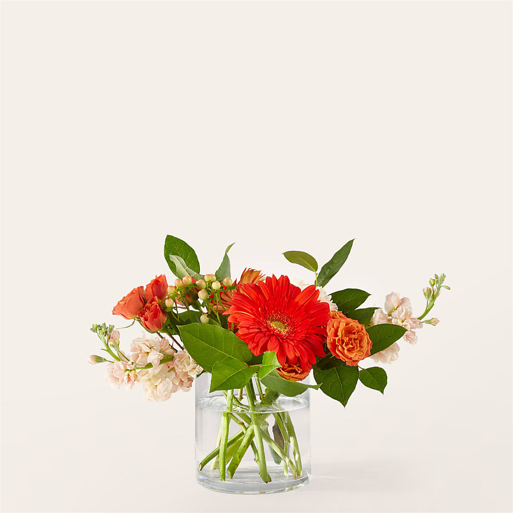 Paloma Please Bouquet – Vidor Florist, Vidor TX