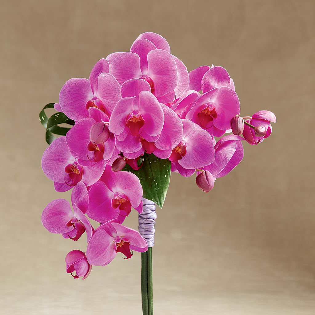 Glorious Bouquet – Vidor Florist, Vidor TX