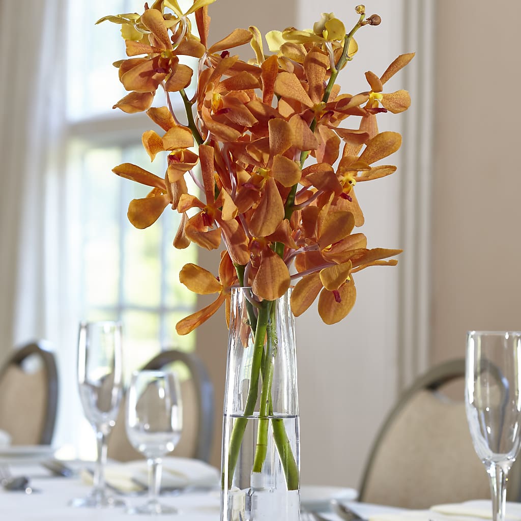 Orange Mokara Bud Vase – Vidor Florist, Vidor TX