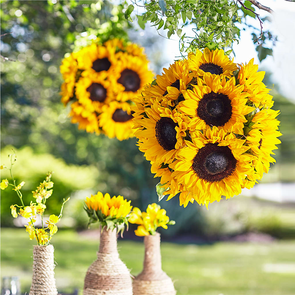 Sublime Garden Hanging Arrangement – Vidor Florist, Vidor TX