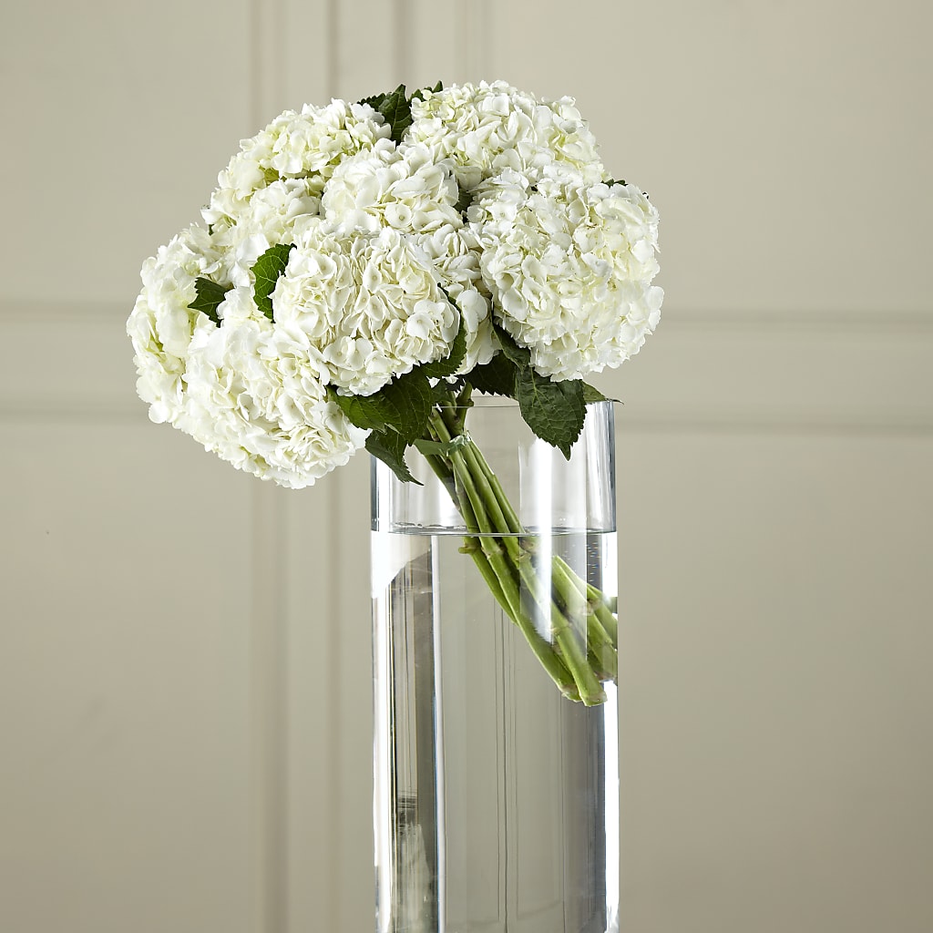 White Hydrangea Hand-Tied Bouquet – Vidor Florist, Vidor TX