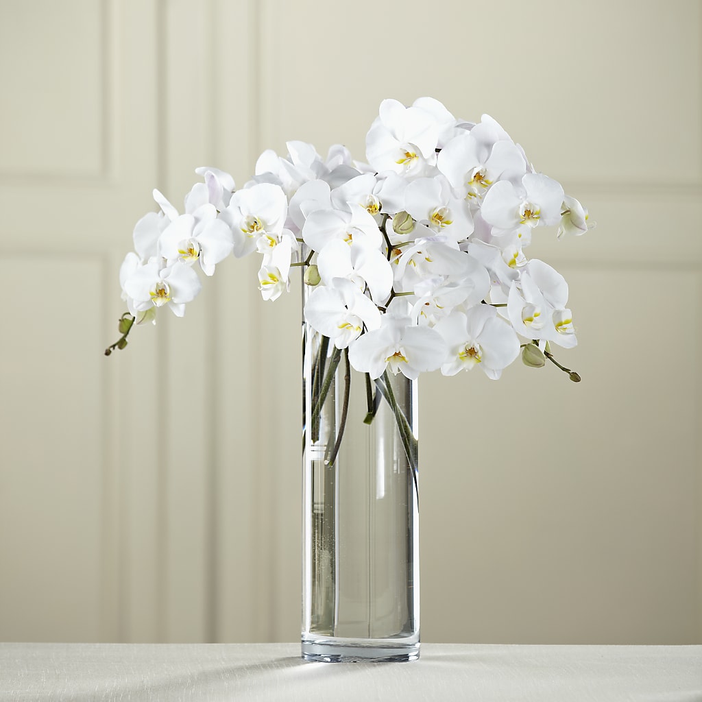 White Phalaenopsis Bouquet – Vidor Florist, Vidor TX