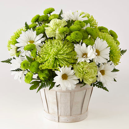 Lucky Charm Basket (Standard) –  Vidor Florist, Vidor TX