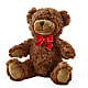 Adorable Plush Bear –  Vidor Florist, Vidor TX