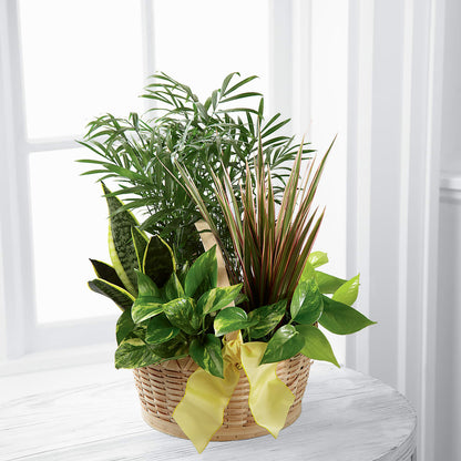 French Garden –  Vidor Florist, Vidor TX