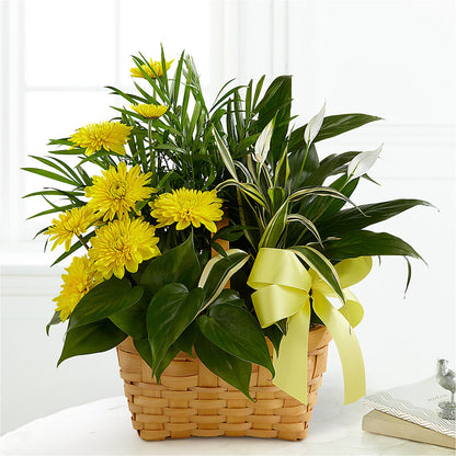 Loving Light Dishgarden –  Vidor Florist, Vidor TX