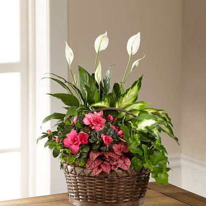 Dream in Pink Dishgarden –  Vidor Florist, Vidor TX