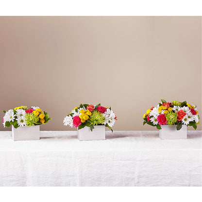 Sorbet Bouquet –  Vidor Florist, Vidor TX