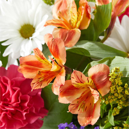 Oopsie Daisy Box Bouquet –  Vidor Florist, Vidor TX