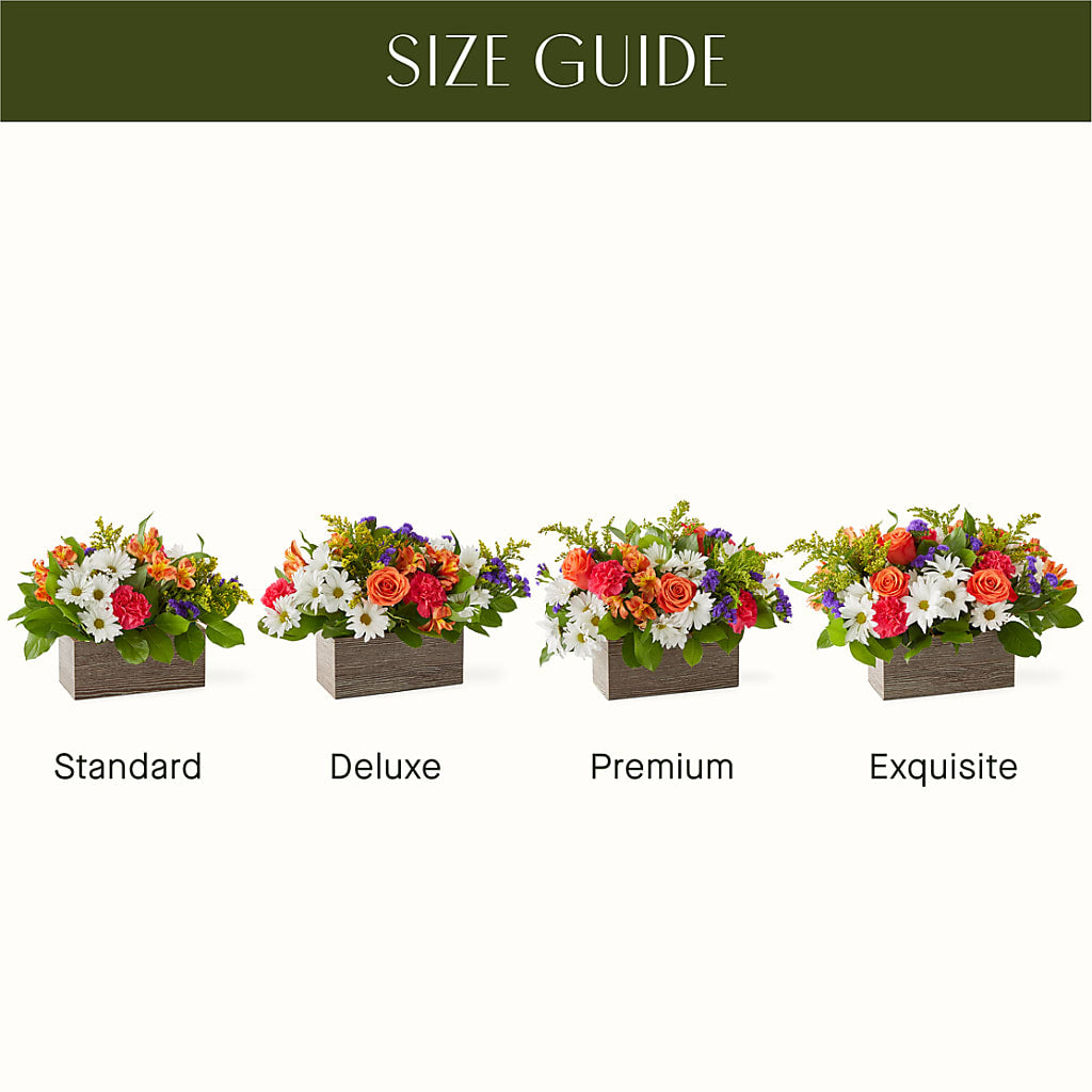 Oopsie Daisy Box Bouquet –  Vidor Florist, Vidor TX