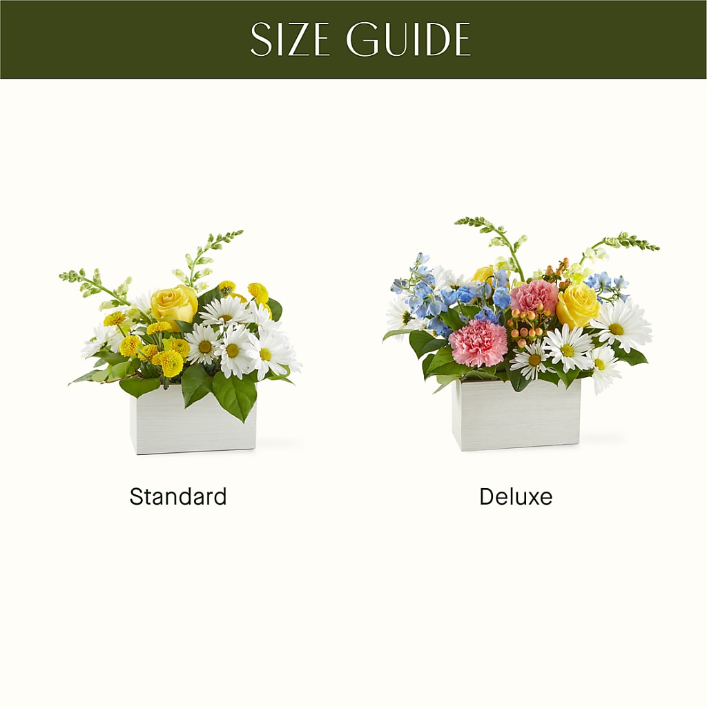 Sun Salutation Box Bouquet –  Vidor Florist, Vidor TX