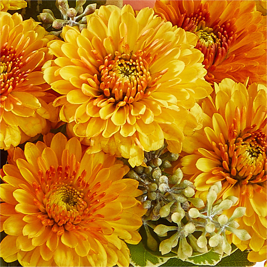 Peachy Pumpkin –  Vidor Florist, Vidor TX