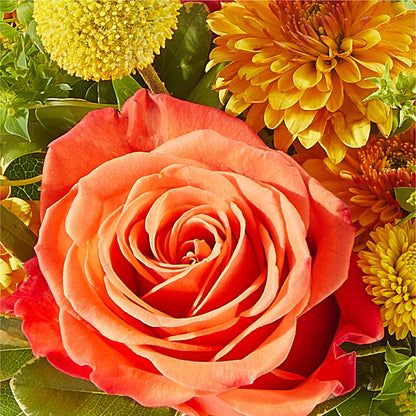 Gourdgeous Pumpkin –  Vidor Florist, Vidor TX
