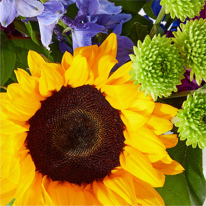 Catching Rays Bouquet –  Vidor Florist, Vidor TX