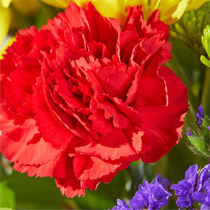 Brighter Days Bouquet –  Vidor Florist, Vidor TX