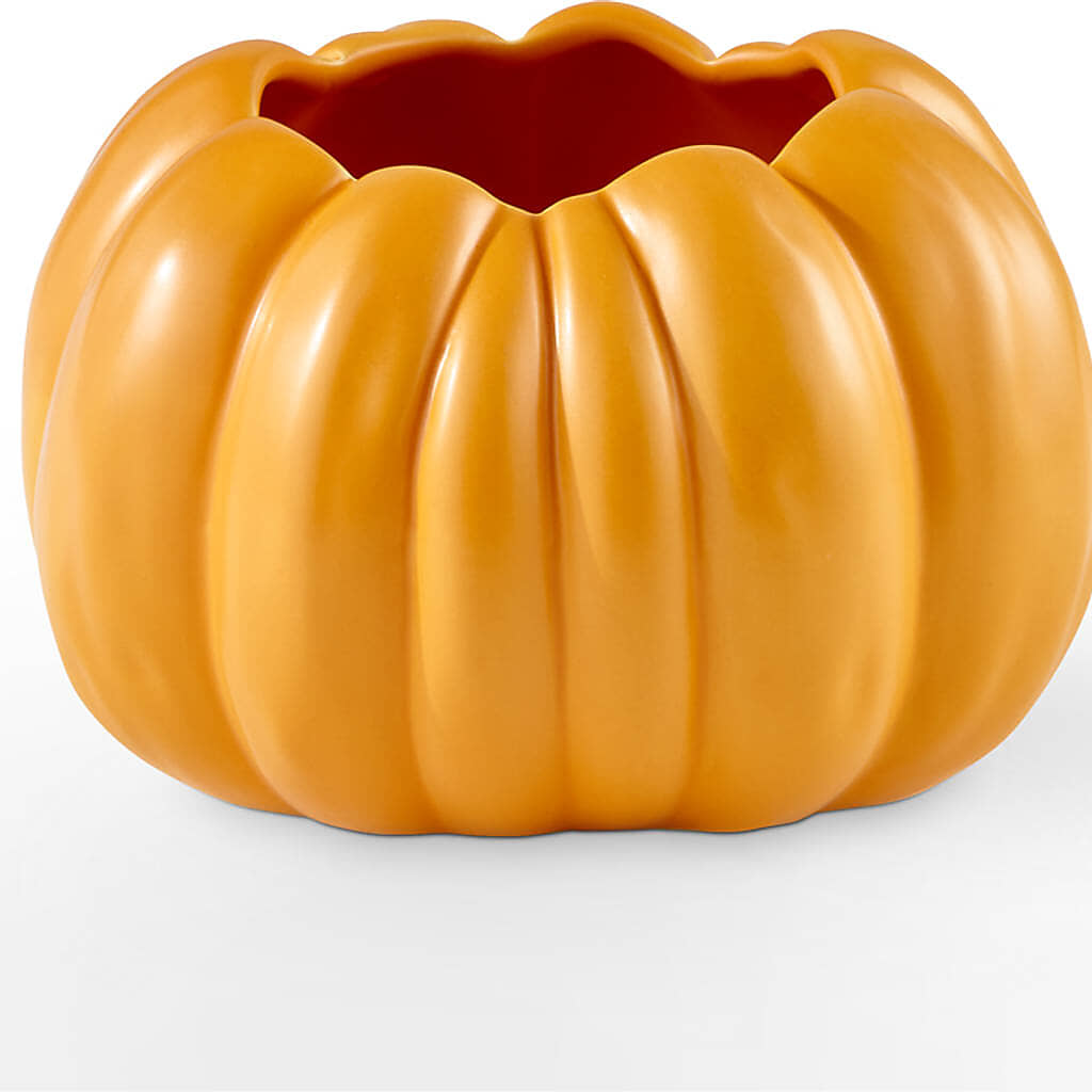 Golden Gourd Pumpkin Bouquet –  Vidor Florist, Vidor TX