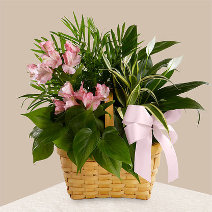 Living Spirit Dishgarden –  Vidor Florist, Vidor TX