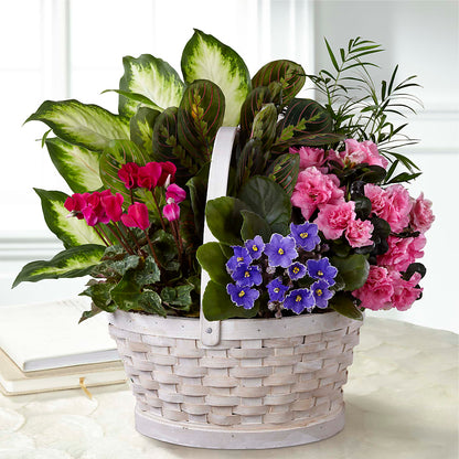 Peaceful Garden Planter –  Vidor Florist, Vidor TX