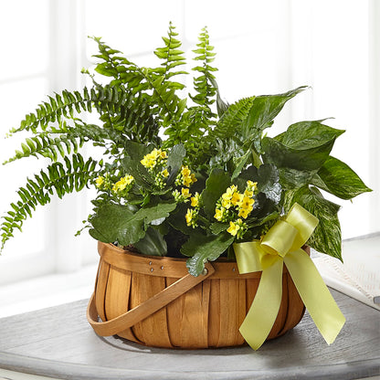 Always Dear Dishgarden –  Vidor Florist, Vidor TX