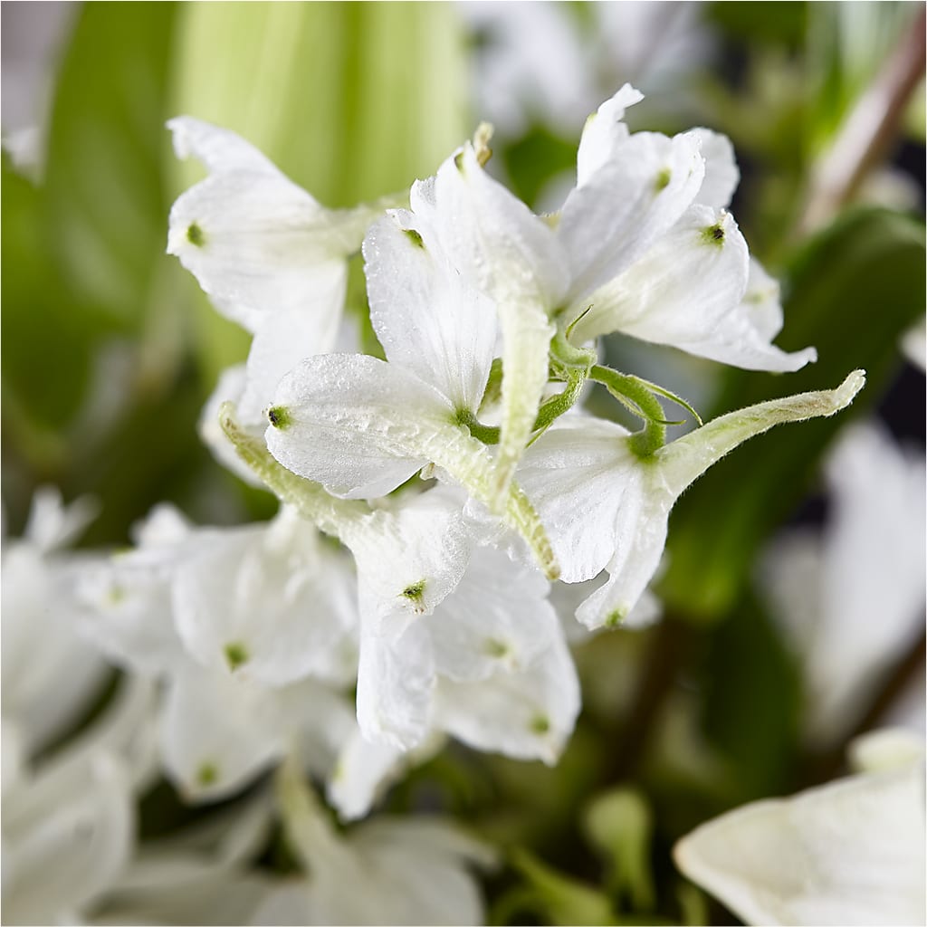 Classic Ivory – A Florist Original –  Vidor Florist, Vidor TX