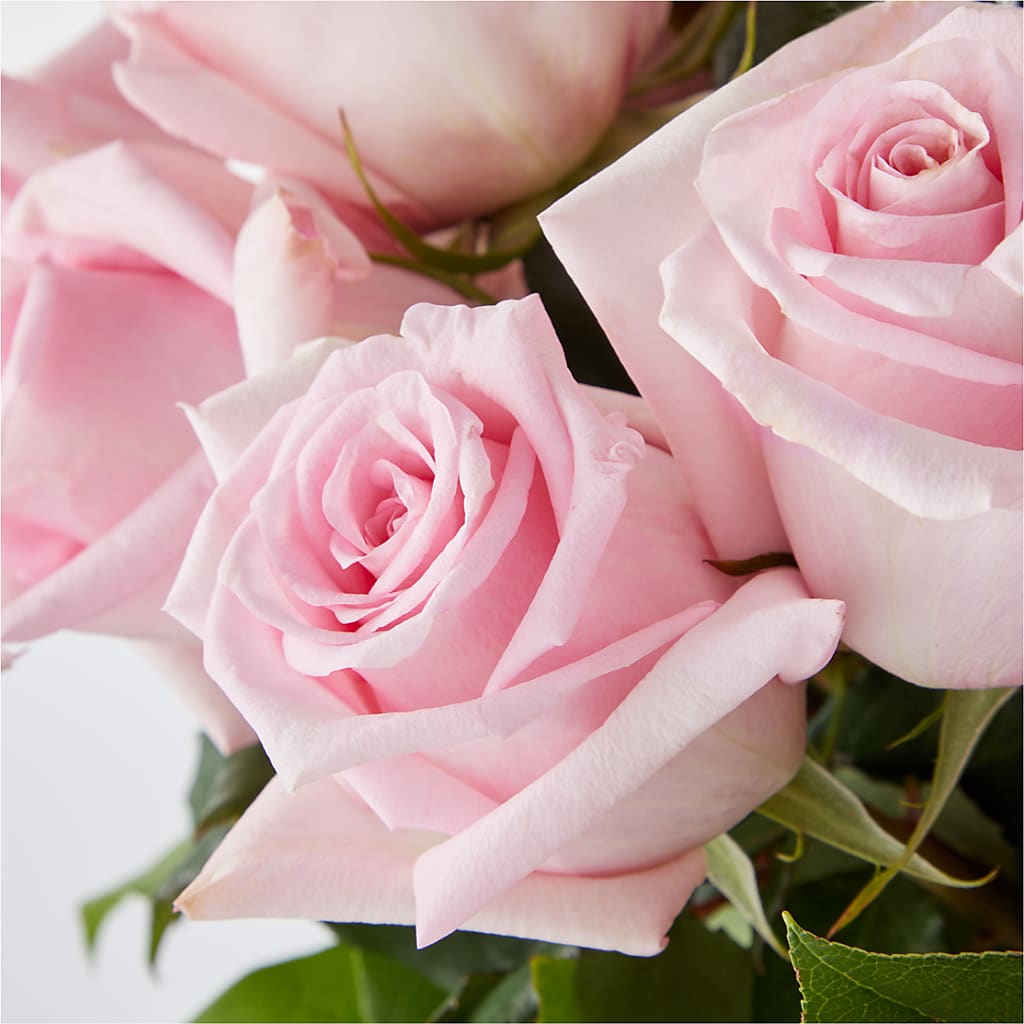 Picture Perfect Pink Rose Bouquet –  Vidor Florist, Vidor TX