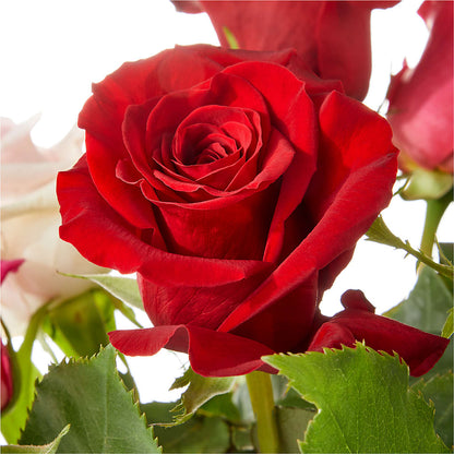 Love Notes Rose Bouquet –  Vidor Florist, Vidor TX
