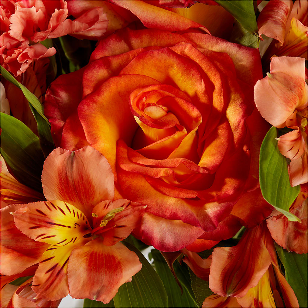 Apricot Glow Bouquet –  Vidor Florist, Vidor TX
