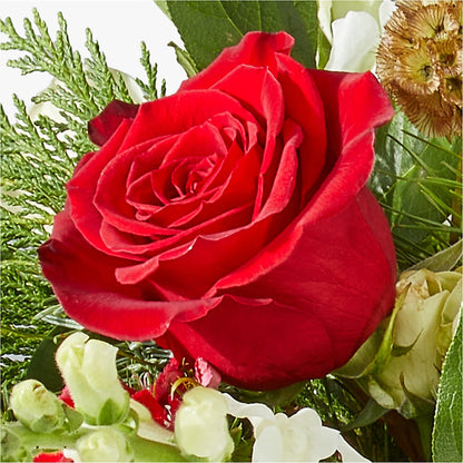 Deck the Halls Bouquet –  Vidor Florist, Vidor TX