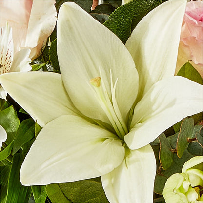 Ballet Slippers Bouquet –  Vidor Florist, Vidor TX