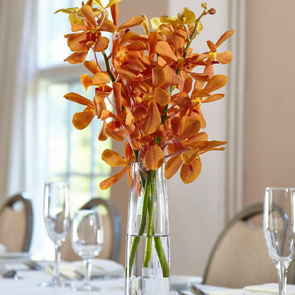 Orange Mokara Bud Vase –  Vidor Florist, Vidor TX