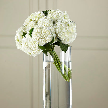 White Hydrangea Hand-Tied Bouquet –  Vidor Florist, Vidor TX