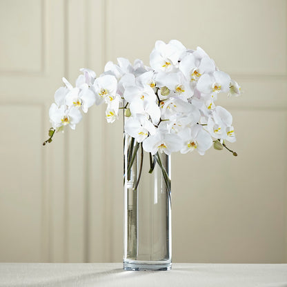 White Phalaenopsis Bouquet –  Vidor Florist, Vidor TX